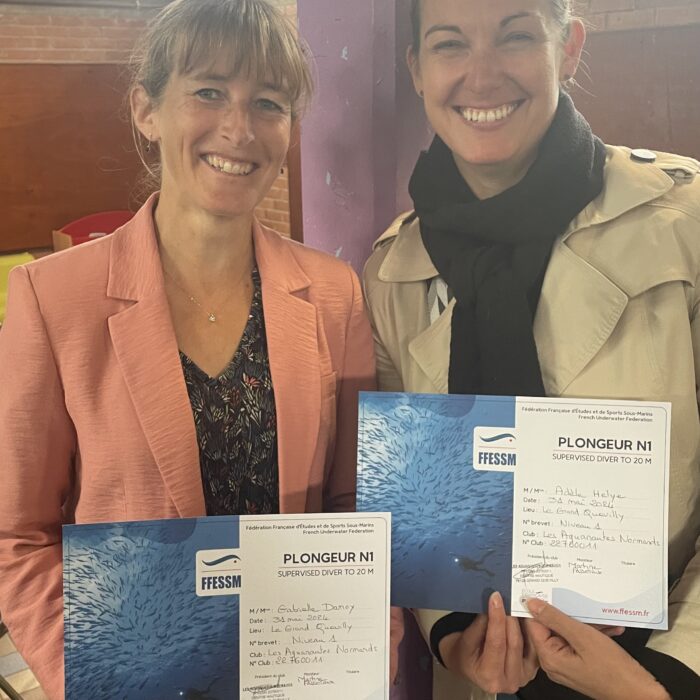 2024-06-15_12-31-28_338